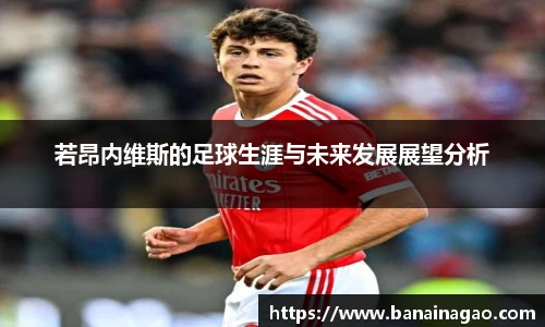 百乐博blb若昂内维斯的足球生涯与未来发展展望分析
